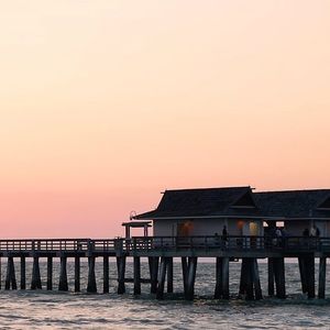 Meet your Posher, Violet